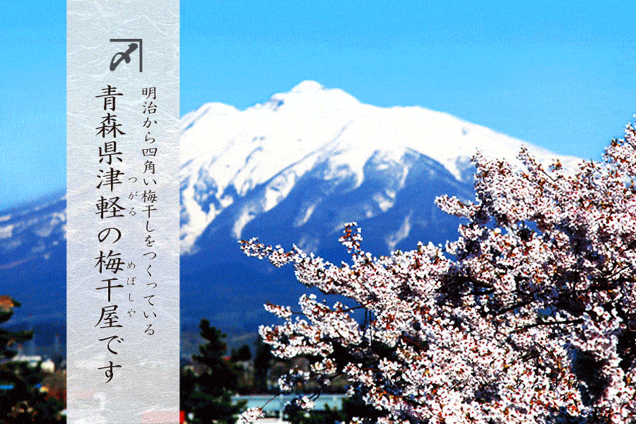 カネシメいした 青森県津軽の梅干屋です