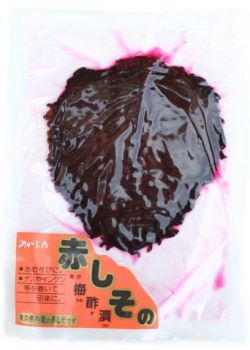 726���֤������߿��ҡ�20�硡��������